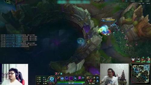 lol洞主资料,揭秘英雄联盟背后的神秘人物